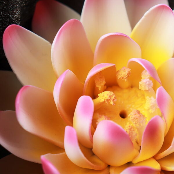 Handmade Ceramic Lotus Incense Stick