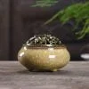 Ice Crack Style Porcelain Incense Burner