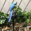 Solar LED Parrot Lamp Ground-inserted Light