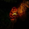 Squirrel Luminous Ornament Solar Light Resin Garden Simulated Animal Statue - Image 2