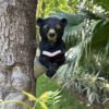 Simulated Black Bear Garden Resin Decoration - Image 2