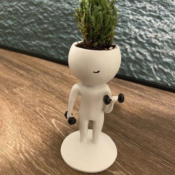 Sport Succulent Plant Pot Resin Craft