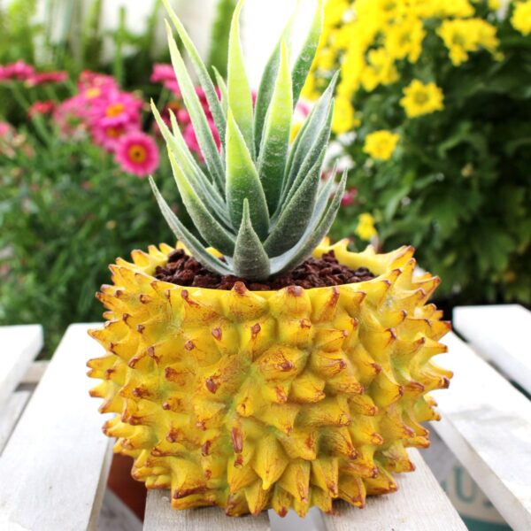 O1CN01ISsDab2EukHX8aupZ_!!2745408805-0-cib Durian Shaped Simulated Resin Flowerpot