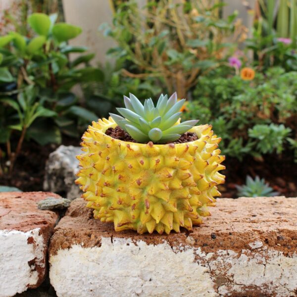 O1CN01LJXWiq2EukHURV3eT_!!2745408805-0-cib Durian Shaped Simulated Resin Flowerpot