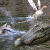 Simulated Crocodile Pool Pond Floating Resin Ornament - Image 2