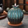 Cactus Shape Ceramic Waterfall Backflow Incense Burner