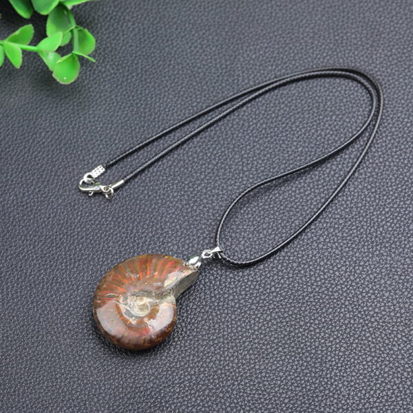 Natural Ammonite Fossil Pendant Ammonite Fossil Necklace