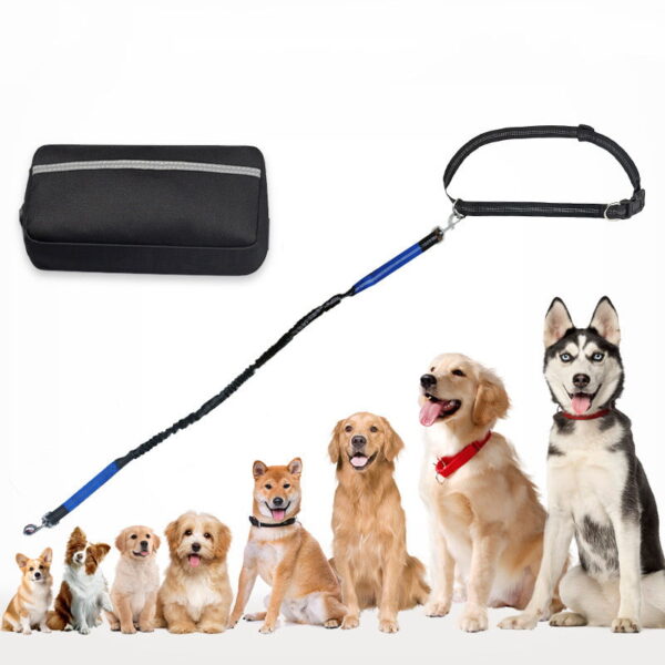 Pet Sports Running Waist Bag Dog Rope Pet Sports Running Waist Bag Dog Rope