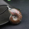 Natural Ammonite Fossil Pendant Ammonite Fossil Necklace