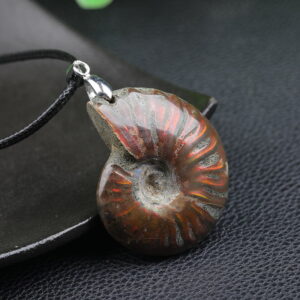Natural Ammonite Fossil Pendant Ammonite Fossil Necklace