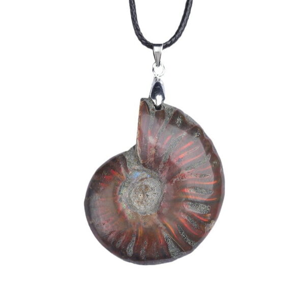 Natural Ammonite Fossil Pendant Ammonite Fossil Necklace