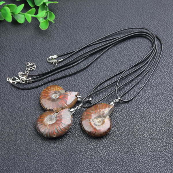 Natural Ammonite Fossil Pendant Ammonite Fossil Necklace