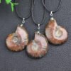 Natural Ammonite Fossil Pendant Ammonite Fossil Necklace - Image 2
