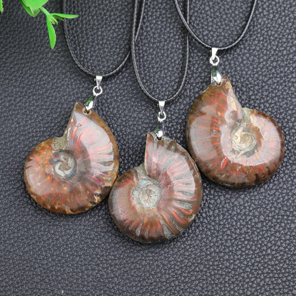 Natural Ammonite Fossil Pendant Ammonite Fossil Necklace