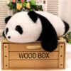 Cute Panda Plush Toy Sleeping Pillow - Image 3